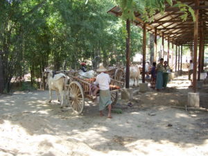 Build schools in Burma Myanmar - Building Middle school in Own Don - Mandalay Division - 100schools, UK registered charity